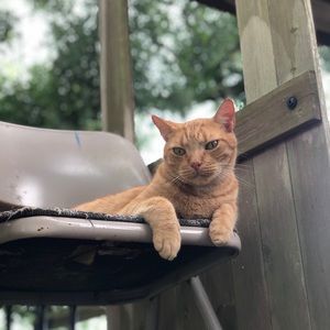 Meet your Posher, Julia